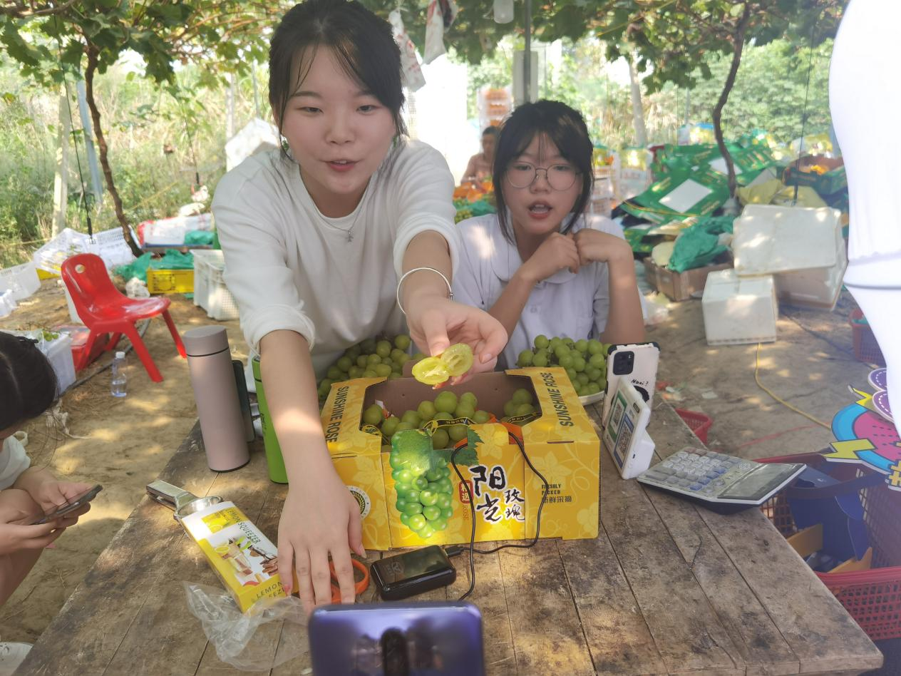 图片1纷纷